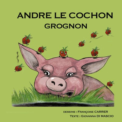 Picture of André le cochon grognon