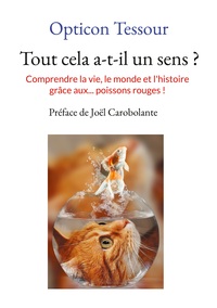 Picture of Tout cela a-t-il un sens ?
