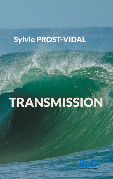 Picture of Transmission