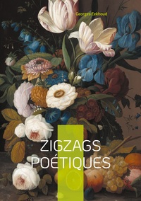 Image de Zigzags poétiques