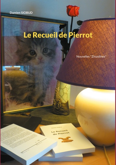Picture of Le Recueil de Pierrot