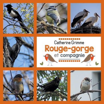 Picture of Rouge-gorge et compagnie