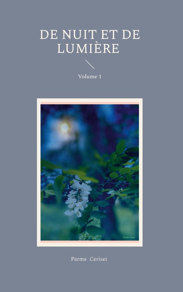 Picture of De Nuit et de Lumière