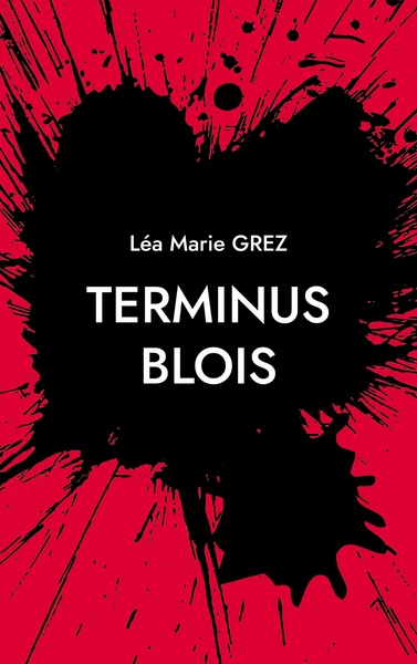 Image de Terminus Blois