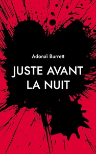 Picture of Juste avant la nuit
