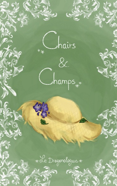 Image de Chairs et Champs