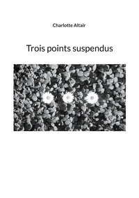 Picture of trois points suspendus