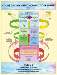 Picture of Analyse des systèmes et gestion des émotions