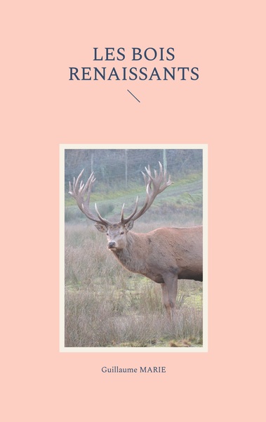 Image de Les bois renaissants