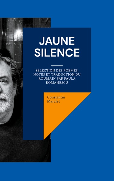 Image de Jaune silence
