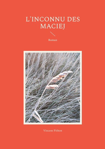 Image de L'inconnu des Maciej