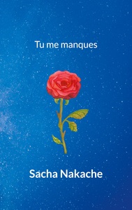 Picture of Tu me manques