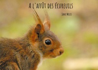 Picture of A l'affût des écureuils