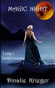 Image de Magic night