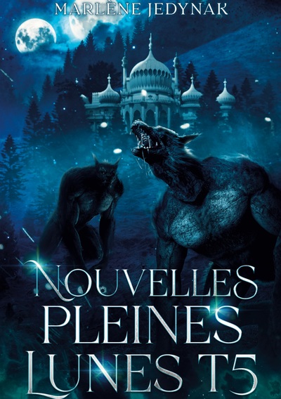 Picture of Nouvelles pleines lunes