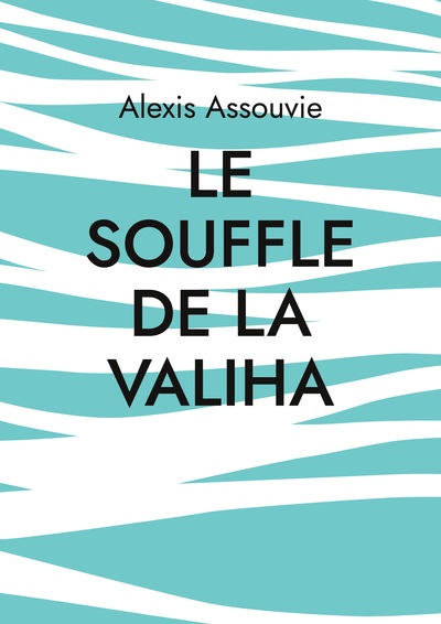 Picture of le souffle de la valiha