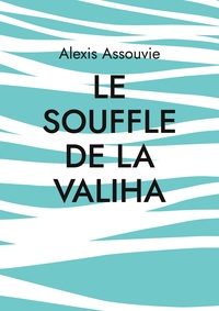 Picture of le souffle de la valiha