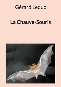Image de La Chauve-Souris
