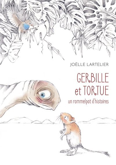Image de Gerbille et Tortue