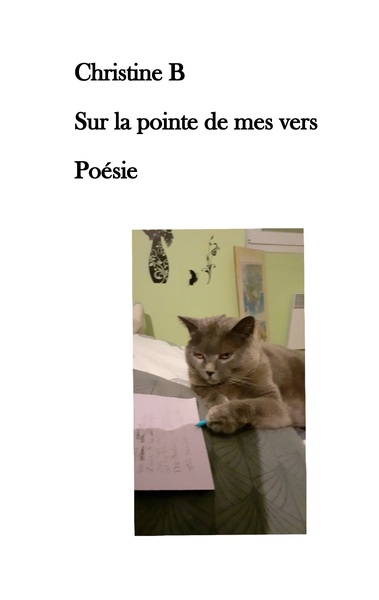 Image de Sur la pointe de mes vers