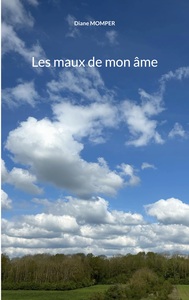Picture of Les maux de mon âme