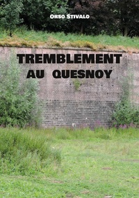 Picture of Tremblement au Quesnoy