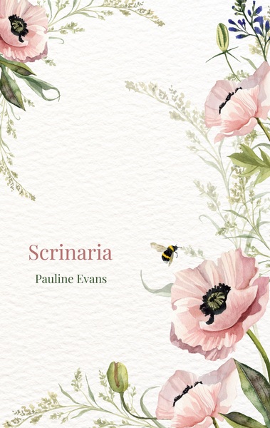 Image de Scrinaria