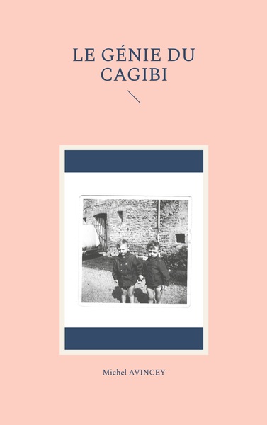 Image de Le Génie du cagibi