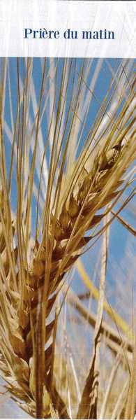 Picture of Signet Prière du matin  - Lot de 10 -  Collection 24 prières