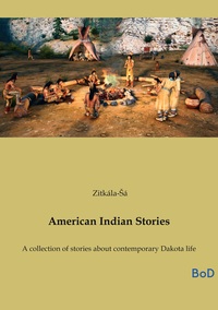 Picture of American Indian Stories