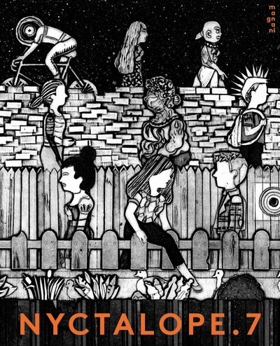 Image de Nyctalope 7