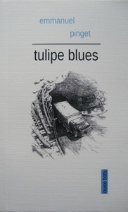 Picture of Tulipe blues