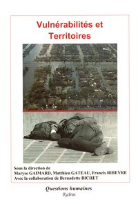 Picture of VULNERABILITES ET TERRITOIRES