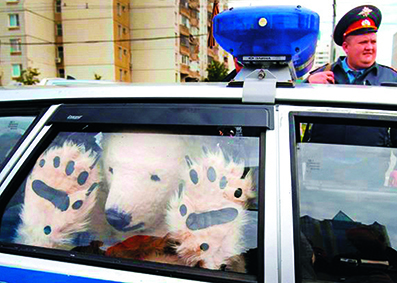 Picture of WHAT THE MEGA FUCK!