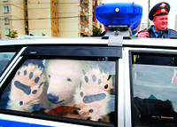 Picture of WHAT THE MEGA FUCK!