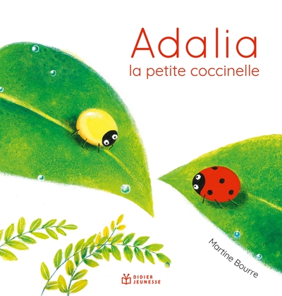Picture of Adalia, la petite coccinelle