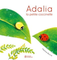 Picture of Adalia, la petite coccinelle