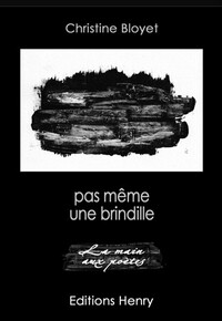 Picture of pas même une brindille