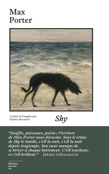 Picture of Shy