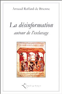Image de La désinformation autour de l’esclavage