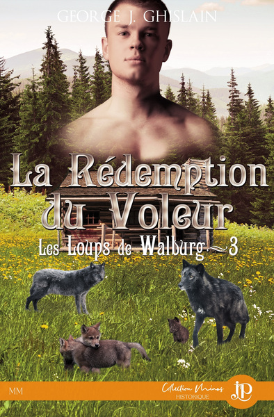 Picture of La rédemption du voleur