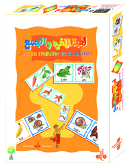 Image de JEU DU SINGULIER ET DU PLURIEL