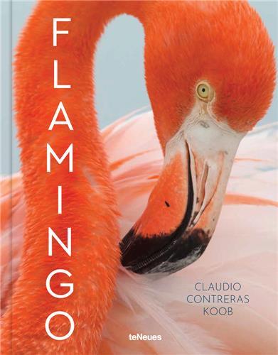 Image de Flamingo /anglais/allemand/espagnol