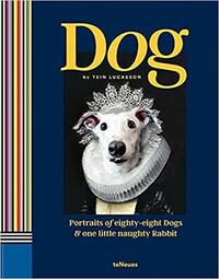 Picture of Dog /anglais