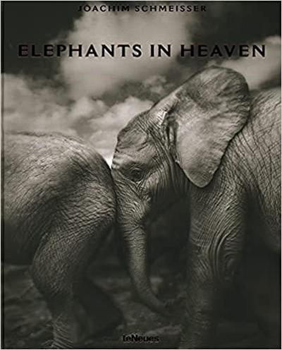 Image de Elephants in heaven