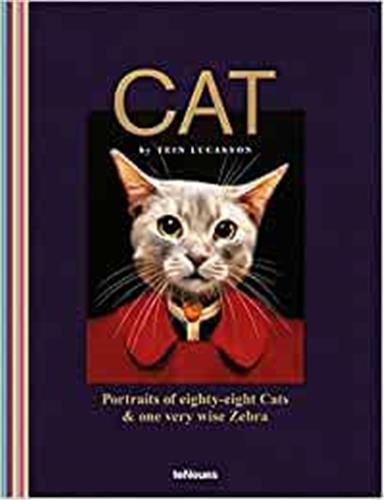 Picture of Cat /anglais
