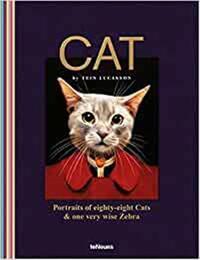 Picture of Cat /anglais