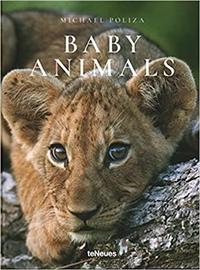 Picture of Michael Poliza Baby Animals /anglais