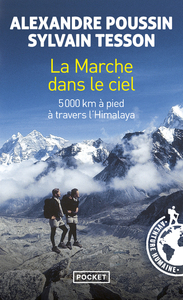 Picture of La marche dans le ciel