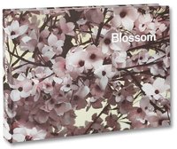 Image de Blossom